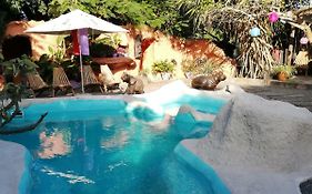 We Bushcamp & Horse Safaris